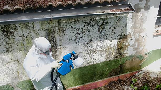 Trusted Mold Inspection service in Concord, MA - Cheap Mold Removal
